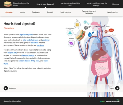 screenshot of Biomolecules on the Menu website