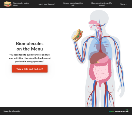 screenshot of Biomolecules on the Menu website