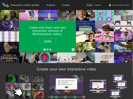 screenshot of HHMI BioInteractive Video Builder website