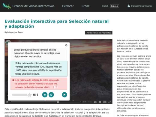 screenshot of HHMI BioInteractive Video Builder website